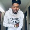 byrddavinci